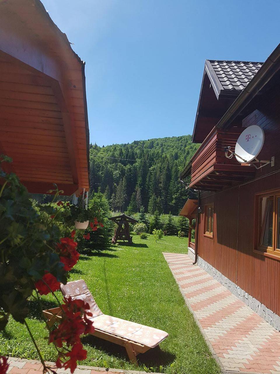Pensiunea Putnisoara Exterior photo