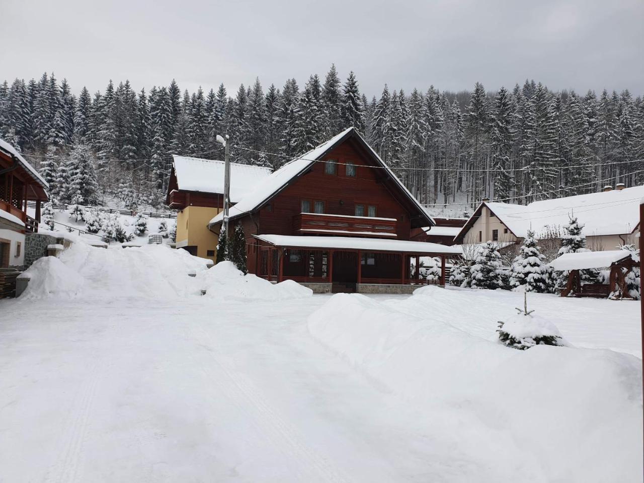 Pensiunea Putnisoara Exterior photo